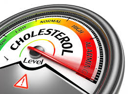 this image shows a cholesterol monitor