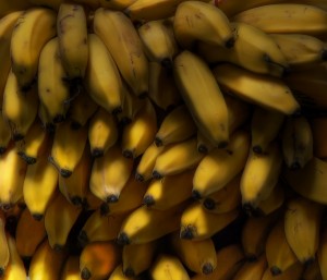 whole frame of ripe bananas, yellow.