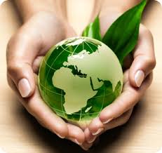 this image shows a globe two hands suggesting a holistic approach