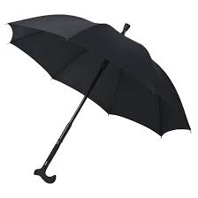 this image shows a walking stick which is also and umbrella