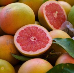 Grapefruit and medication. Image shows a ruby red grapefruit sliced in half. The halves are resting on a pile of whole grapefruits and there are some leaves iin the picture.