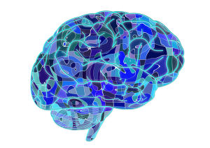 This image shows a brain in blue with the neural pathways highlighted in green.