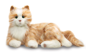 This image shows a ginger and white 'toy'cat. It has white paws and and chest