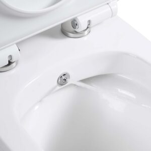 Image shows a section of a purpose made toilet bidet. You can see part of the toilet bowl, the water jet outlet hole and the toilet seat. It is an all-white image.