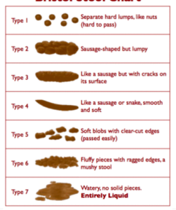 This image shows the Bristol stool chart which shows excrement in various different consistencies!