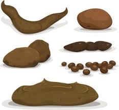 This images shows poop in different shapes and sizes